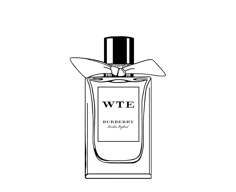 illustrations parfums