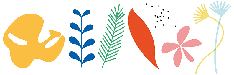 éléments graphiques