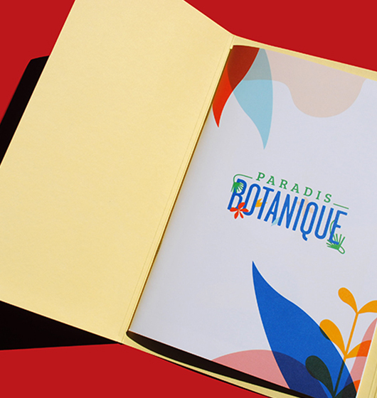 press release Conforama